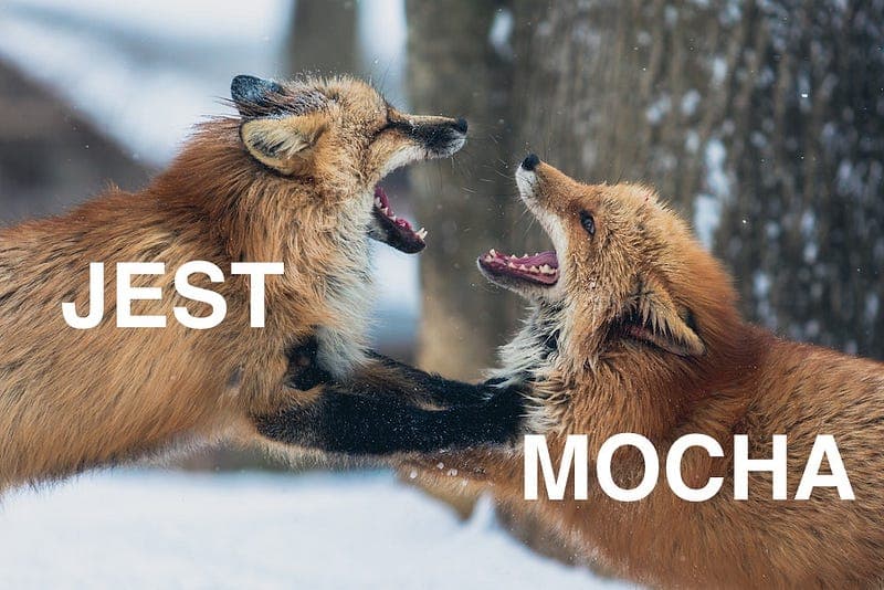 Jest vs Mocha: Which Should You Choose?